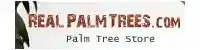 realpalmtrees.com