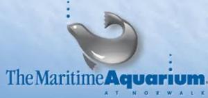 maritimeaquarium.org